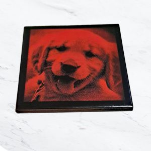 Ceramic tiles red 1